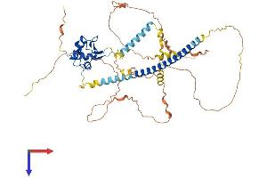 HSF1 Protein (AA 1-525) (His tag)