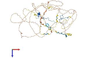 CASC3 Protein (AA 1-698) (His tag)