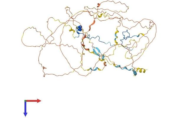 CASC3 Protein (AA 1-698) (His tag)
