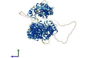 Protein Structure (PS) image for 2'-5' Oligoadenylate Synthetase 3 (OAS3) (AA 1-1138) protein (His tag) (ABIN7564771)