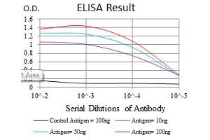 Image no. 4 for anti-SRY (Sex Determining Region Y)-Box 9 (SOX9) antibody (ABIN1501087) (SOX9 Antikörper)