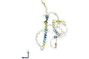 Protein Structure (PS) image for Lymphocyte-Specific Protein 1 (LSP1) (AA 1-330) protein (His tag) (ABIN7562943)