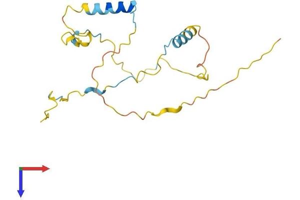 C9orf25 Protein (AA 1-185) (His tag)