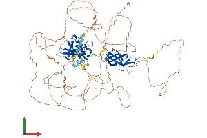 AlphaFold protein structure predicition of Human Recombinant NFATC2 Protein, UniprotID Q13469
