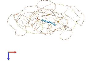 FSCB Protein (AA 1-1074) (His tag)