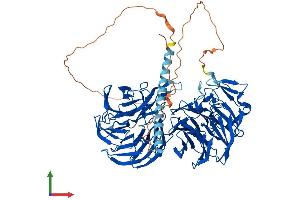 Protein Structure (PS) image for Echinoderm Microtubule Associated Protein Like 1 (EML1) (AA 1-814) protein (His tag) (ABIN7563602)