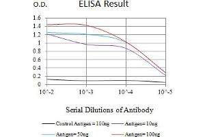 Black line: Control Antigen (100 ng),Purple line: Antigen (10 ng), Blue line: Antigen (50 ng), Red line:Antigen (100 ng) (MSH6 Antikörper  (AA 217-395))