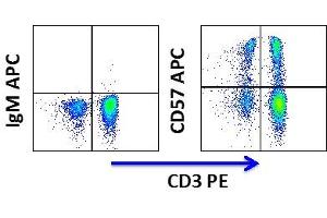 Flow Cytometry (FACS) image for anti-beta-1,3-Glucuronyltransferase 1 (Glucuronosyltransferase P) (B3GAT1) antibody (APC) (ABIN3071850) (CD57 Antikörper  (APC))