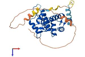 Calpain S1 Protein (AA 1-268) (His tag)