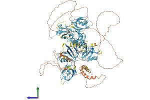 Protein Structure (PS) image for Glutamate Receptor Interacting Protein 1 (GRIP1) (AA 1-1127) protein (His tag) (ABIN7564871)