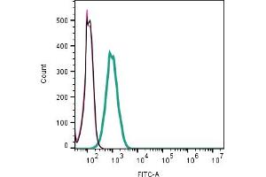 Cell surface detection of B1 Bradykinin Receptor by indirect flow cytometry in live intact mouse  microglia cell line: + goat-anti-rabbit-FITC.