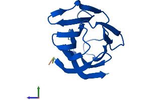 Protein Structure (PS) image for Lectin, Galactoside-Binding, Soluble, 2 (LGALS2) (AA 1-132) protein (His tag) (ABIN7548893)