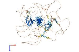 PARD3 Protein (AA 1-1333) (His tag)
