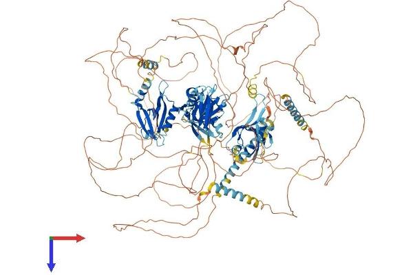 PARD3 Protein (AA 1-1333) (His tag)