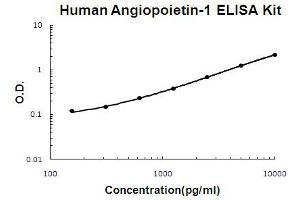 Human Angiopoietin-1 Accusignal ELISA Kit Human Angiopoietin-1 AccuSignal ELISA Kit standard curve. (Angiopoietin 1 ELISA Kit)