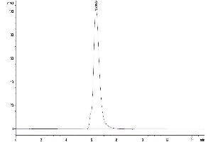 Size-exclusion chromatography-High Pressure Liquid Chromatography (SEC-HPLC) image for CD200 (CD200) (AA 31-232) protein (Fc Tag) (ABIN7274110)