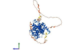 AlphaFold protein structure predicition of Mouse Recombinant Ccna2 Protein, UniprotID P51943
