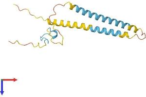 SFRS12IP1 Protein (AA 1-155) (His tag)
