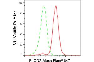 Flow cytometric analysis of PLOD2 expression in HT- cells using PLOD2 antibody (ABIN7799903), 1:2,000). (PLOD2 Antikörper)