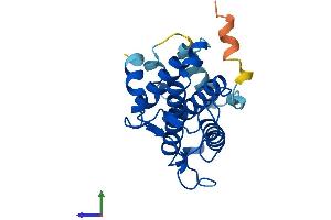 Protein Structure (PS) image for MOB Kinase Activator 3A (MOB3A) (AA 1-217) protein (His tag) (ABIN7549489)