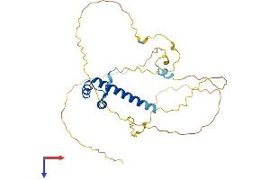 MSX1 Protein (AA 1-303) (His tag)