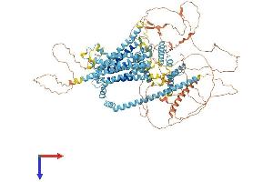 AlphaFold protein structure predicition of Mouse Recombinant Tmc3 Protein, UniprotID Q7TQ69
