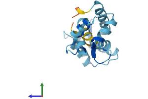 Protein Structure (PS) image for Calmodulin Like Protein 3 (CALML3) (AA 1-149) protein (His tag) (ABIN7561053)