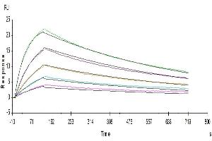 Surface Plasmon Resonance (SPR) image for Fc Receptor, IgG, High Affinity I (FCGR1) (AA 16-288) protein (His-Avi Tag) (ABIN7274672)