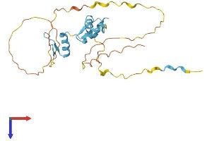 KLF16 Protein (AA 1-251) (His tag)