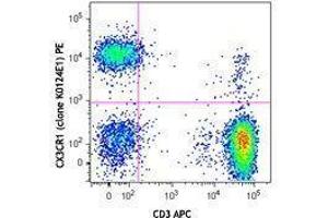 Flow Cytometry (FACS) image for anti-Chemokine (C-X3-C Motif) Receptor 1 (CX3CR1) antibody (PE) (ABIN2662696) (CX3CR1 Antikörper  (PE))
