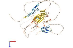 RNF6 Protein (AA 1-685) (His tag)