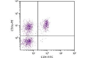 Porcine peripheral blood lymphocytes were stained with Mouse Anti-Porcine CD3ε-PE. (CD3 epsilon Antikörper  (FITC))