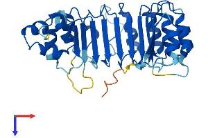 FBXL12 Protein (AA 1-326) (His tag)