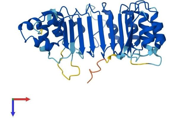 FBXL12 Protein (AA 1-326) (His tag)
