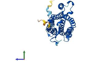 Protein Structure (PS) image for Alkaline Ceramidase 2 (ACER2) (AA 1-275) protein (His tag) (ABIN7551770)