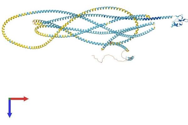 EEA1 Protein (AA 1-1411) (His tag)