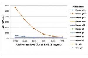 ELISA of human immunoglobulins shows recombinant Human IgG2 antibody only reacted to hIgG2. (Rekombinanter Kaninchen anti-Human IgG2 Antikörper)