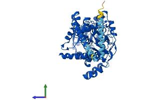 Protein Structure (PS) image for Fatty Acyl CoA Reductase 1 (FAR1) (AA 1-515) protein (His tag) (ABIN7547596)