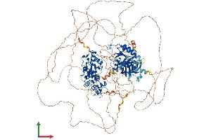 Protein Structure (PS) image for ArfGAP with GTPase Domain, Ankyrin Repeat and PH Domain 2 (AGAP2) (AA 1-1192) protein (His tag) (ABIN7551910)