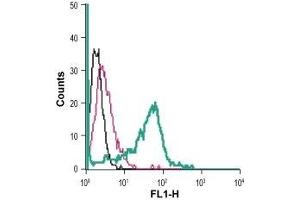 Cell surface detection of ADORA2b in live intact mouse J774 macrophage cells: (black line) Cells. (Adenosine A2b Receptor Antikörper  (C154S, Extracellular) (FITC))