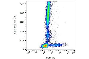 Surface staining of human peripheral blood with anti-human CD56 (LT56) APC. (CD56 Antikörper  (APC))