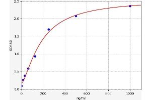 ELISA image for Fibronectin Type III Domain Containing 5 (FNDC5) ELISA Kit (ABIN6966810)