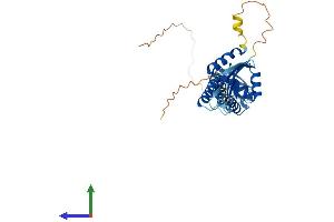 Protein Structure (PS) image for Potassium Channel Tetramerisation Domain Containing 13 (KCTD13) (AA 1-329) protein (His tag) (ABIN7552552)