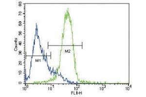 GATA4 antibody flow cytometric analysis of HepG2 cells (green) compared to a negative control (blue). (GATA4 Antikörper  (AA 298-328))