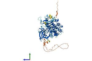 Protein Structure (PS) image for Protein Kinase C, zeta (PRKCZ) (AA 1-592) protein (His tag) (ABIN7554316)