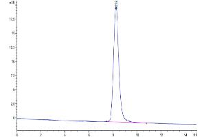 Size-exclusion chromatography-High Pressure Liquid Chromatography (SEC-HPLC) image for Chemokine (C-C Motif) Receptor 8 (CCR8) (AA 1-35) protein (mFc Tag) (ABIN7274054)