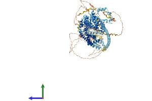 Protein Structure (PS) image for Diaphanous Homolog 1 (DIAPH1) (AA 1-1272) protein (His tag) (ABIN7553709)