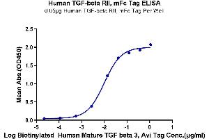 Immobilized Human TGF-beta RII, mFc Tag at 0. (TGFBR2 Protein (AA 24-159) (mFc-Avi Tag))