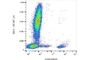 Flow cytometry analysis (surface staining) of human peripheral blood with anti-CD20 (2H7) PerCP.