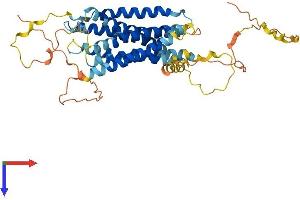 GPR150 Protein (AA 1-434) (His tag)